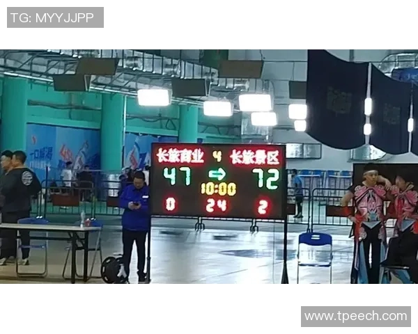 全国锦标赛特别报道：杭州篮球队勇攀高峰的拼搏历程与荣耀时刻