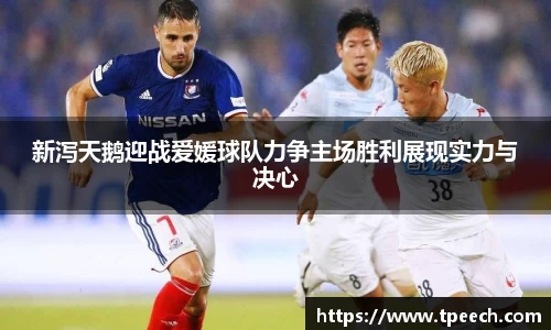 新泻天鹅迎战爱媛球队力争主场胜利展现实力与决心